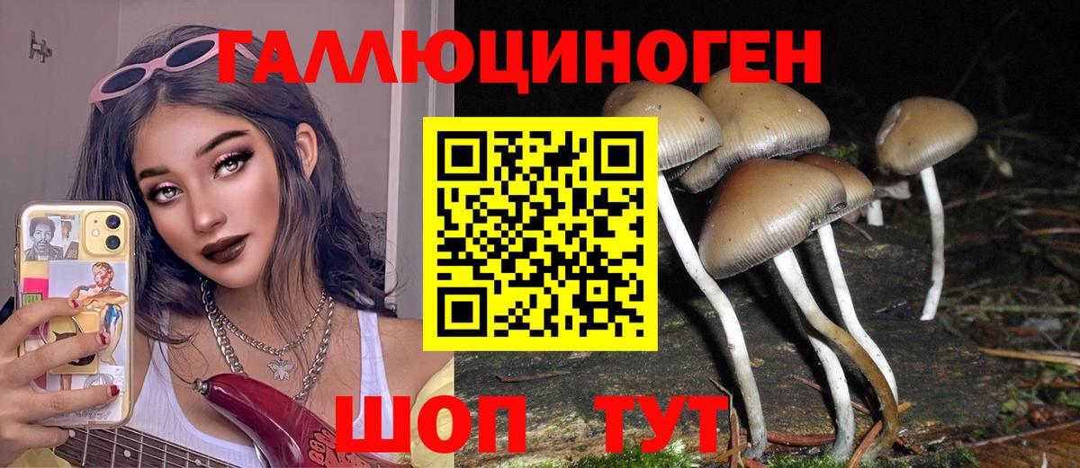 Псилоцибиновые грибы Psilocybe Коммунар